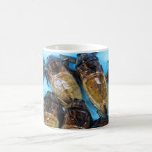 Fried Giant Water Beetle (Maeng Daa) Coffee Mugs