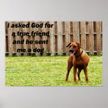 Friend posters