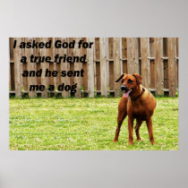 Friend Poster