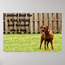 Friend Poster