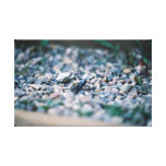 Friendly Beetle Gallery Wrap Canvas