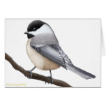 Friendly Black Capped Chickadee Bird Card