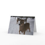 friendly deer greeting card