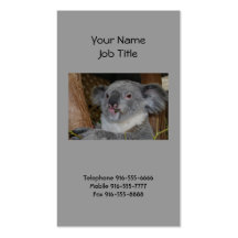 Friendly Koala Business Cards