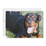 Friendly Rottweiler Dog Invitation