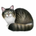 Friendly Tabby Cat Ornament photo sculptures
