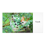 Friends 04 personalized photo card