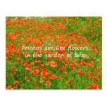 Friends Are Like Flowers Post Cards