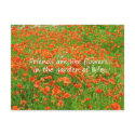 Friends Are Like Flowers postcards