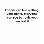 Friends are like wetting your pants, everyone c... t-shirts