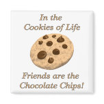 Friends Are The Chocolate Chips! magnets