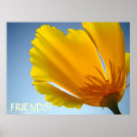 FRIENDS! Art Prints POPPY FLOWERS Blue Sky Art
