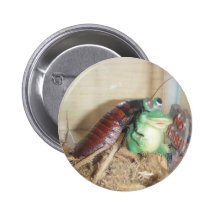Friends Buttons