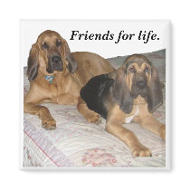 Friends for life. magnets