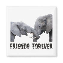 Friends Forever Elephants hugging / embracing Magnets