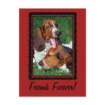 Friends Furever [Forever] postcards