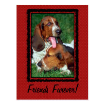 Friends Furever [Forever] Postcard