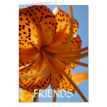 Friends LILY FLOWERS GREETING CARDS NOTE CARD