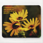 Friends mousepads