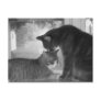 Friends Postcard