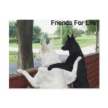 friends postcards