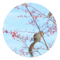 Friends - Squirrel and Bird Friends Eating Berries Round Stickers