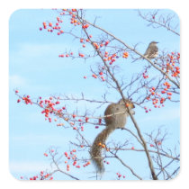 Friends - Squirrel and Bird Friends Eating Berries Square Sticker