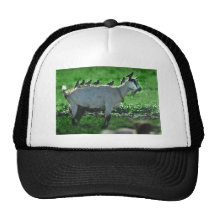 Friends Trucker Hats