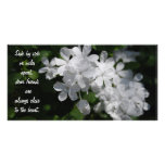 Friends, white flowers photo cards