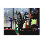 Friends Window postcards