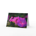 Friendship Card