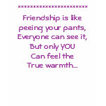 Friendship is... Shirt