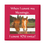 Friendship - magnet