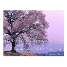 Friendship Quote 1 - Cherry Blossom Tree Postcards