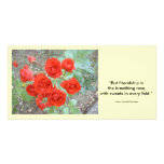 Friendship Rose photo cards
