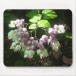 "Friendship Tree" mousepad