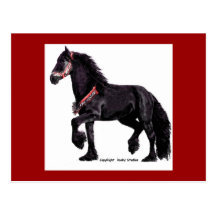 Friesian Dance Postcard #5