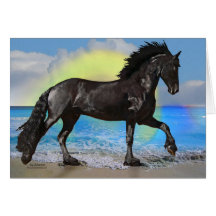Friesian Horse Beach Greeting Card