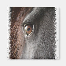 Friesian Horse Design Square Magnet