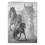 Friesian Horse Drawing by Kelli Swan Card