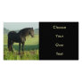 Friesian Horse