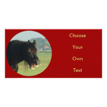 Friesian Horse-portrait yawning in circle Personalised Photo Card