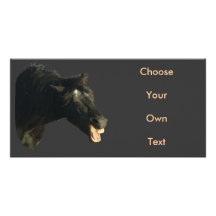 Friesian Horse-portrait yawning Personalised Photo Card