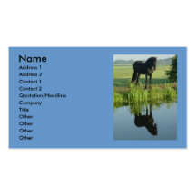 Friesian Horse Reflection in water Business Cards
