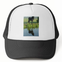 Friesian Horse Reflection in water