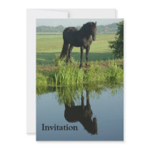 Friesian Horse Reflection in water