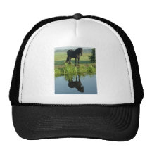 Friesian Horse Reflection in water Mesh Hats