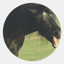 Friesian Horse Yawning Sticker