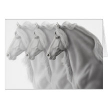 Friesian Horses Greeting Card