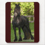 Friesian Painted Mousepad
